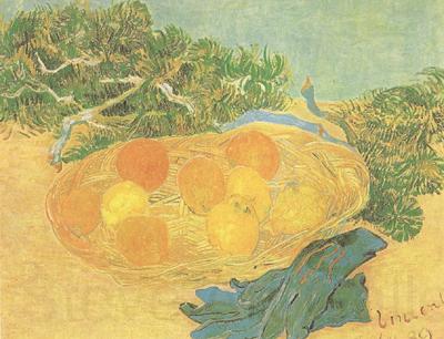 Vincent Van Gogh Still life:Oranges,Lomons and Blue Gloves (nn04) Spain oil painting art